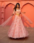 Peach Bead Work Skirt Set - WaliaJones