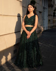 Emerald Green Sequins Lehenga Set - WaliaJones