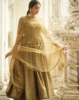 Paro Gold Chanderi Anarkali Set