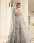 Grey Anaysha Embroidered Lehenga