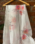 Ivory Hand Painted Organza Saree with Ivory Mirror Work Blouse