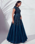 Blue Hand Embroidered Gown - WaliaJones