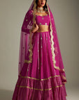 Magenta Mirror and Gota Lehenga Set - WaliaJones