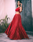 Red Silk Aztec Print Lehenga with Hand Embroidered Blouse