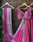 Fuchsia Pink Sharmily Work Lehenga Set - WaliaJones