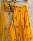 Mango Mirror Lehenga Set - WaliaJones