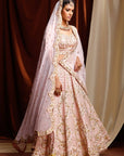 The Kiana Pink Bridal Lehenga Set - WaliaJones