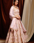The Kiana Pink Bridal Lehenga Set - WaliaJones