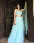 Mint Green Bustier with Pearl Embroidery, Tulle Skirt & Dupatta - WaliaJones