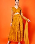 Mustard Chevron Anarkali