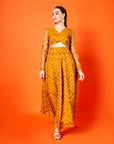 Mustard Chevron Anarkali