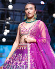 Flamingo Garden Lehenga Set