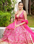 Beetroot Embroidered Lehenga Set