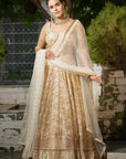 Champagne Embroidered Lehenga Set