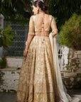 Champagne Embroidered Lehenga Set