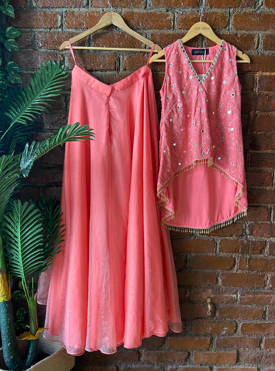 Coral Thread and Mirror work Palazzo Set