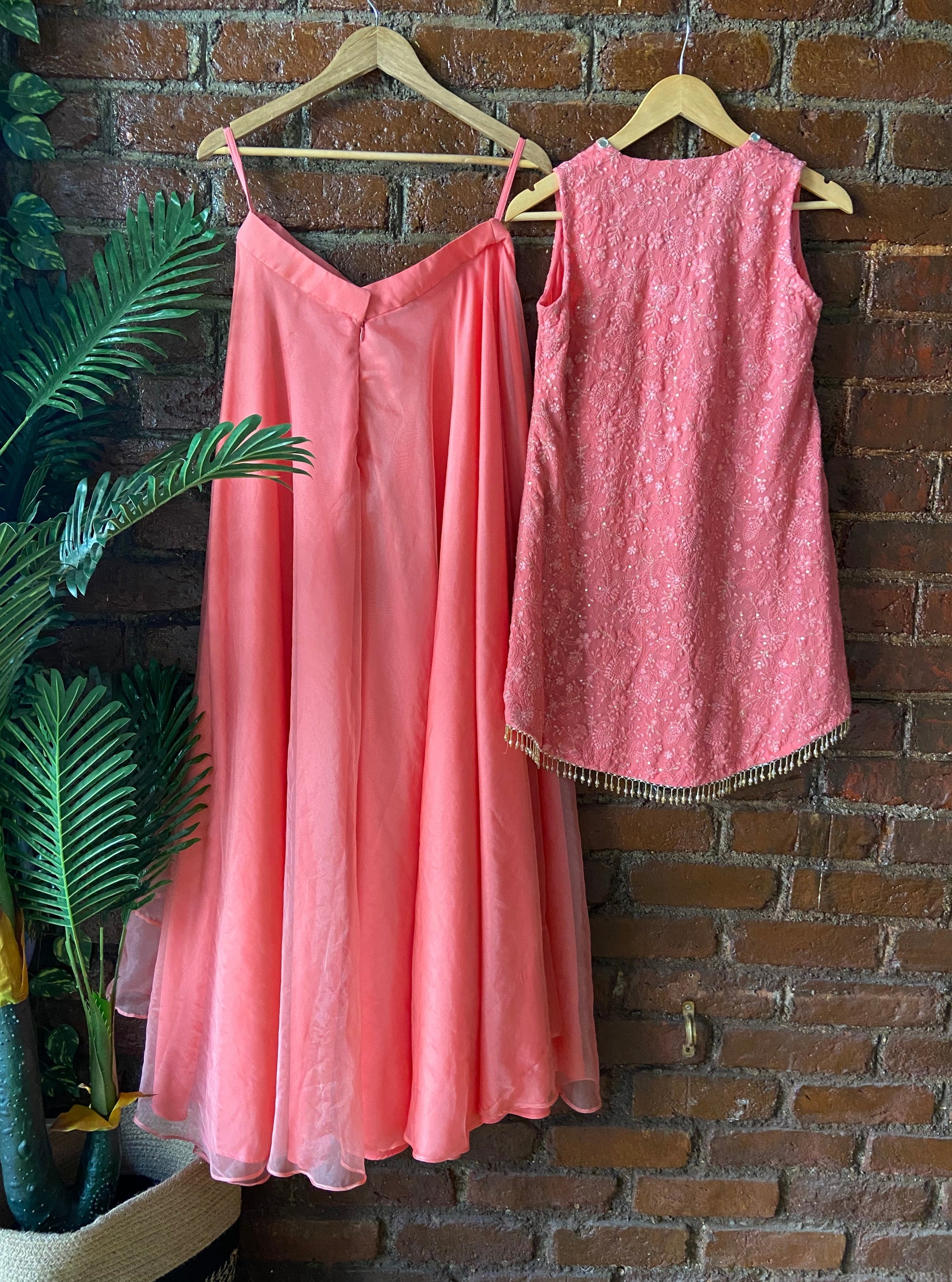 Coral Thread and Mirror work Palazzo Set
