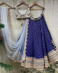 Blue and Ivory Embroidered Lehenga Set - WaliaJones