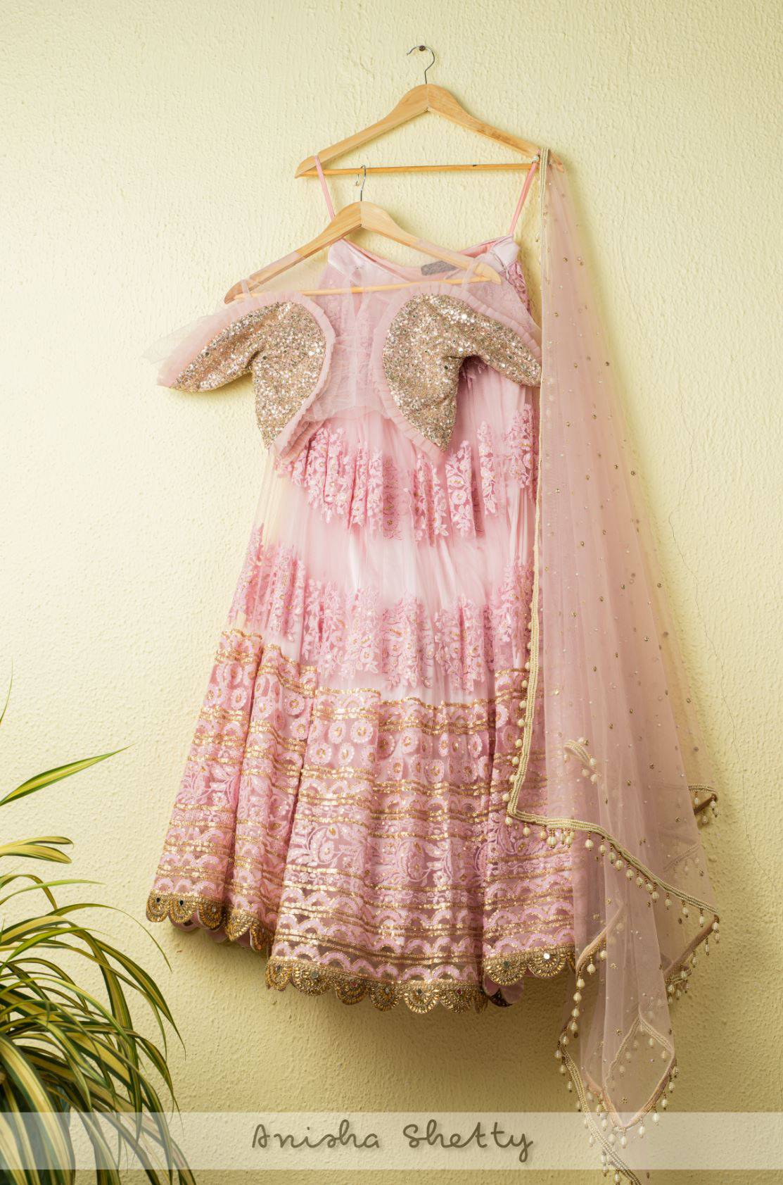 Blush Pink Embroidered Thread Work Lehenga With Abla &amp; Sequin Blouse - WaliaJones