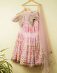Blush Pink Embroidered Thread Work Lehenga With Abla & Sequin Blouse - WaliaJones