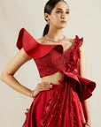 Brill Crimson Sculpted Blouse with Skirt - WaliaJones