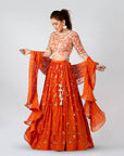 Deep Orange Embroidered Pleated Skirt Set - WaliaJones