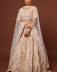 Peach Raw Silk Lace and Resham Embroidered Lehenga