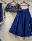 Navy Blue Raw Silk Lehenga Set with Embroidered Blouse - WaliaJones