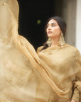 Reshma Chanderi Kurta Set - WaliaJones
